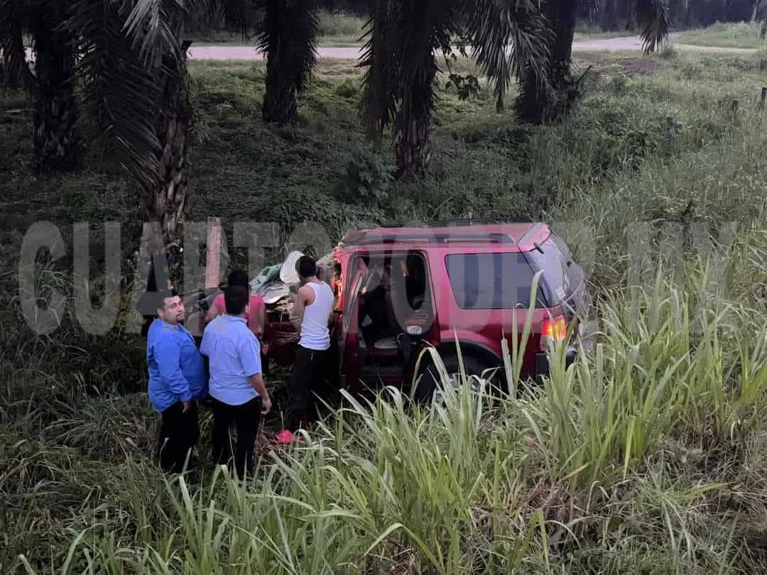 Camioneta sale del camino y se accidenta