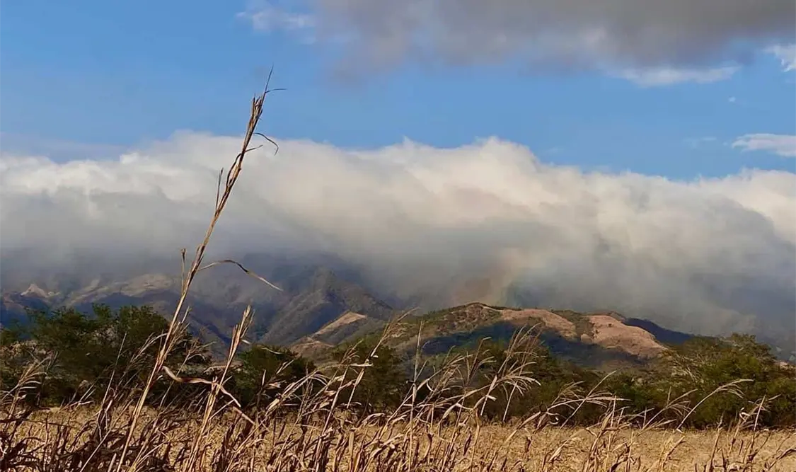 Las zonas de montaña tendrán presencia visible de bancos de niebla