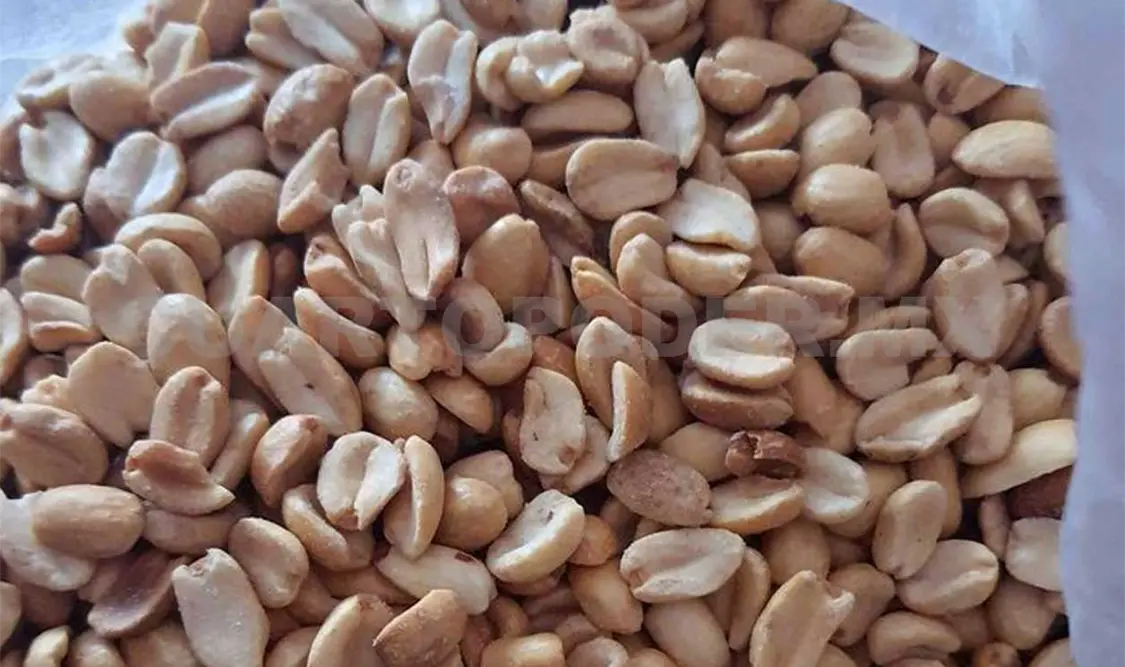 Chiapas baja escaño en producción de cacahuate
