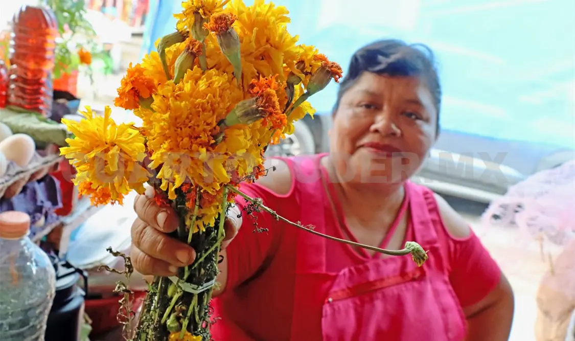 Inicia oferta de cempasúchil en mercados públicos