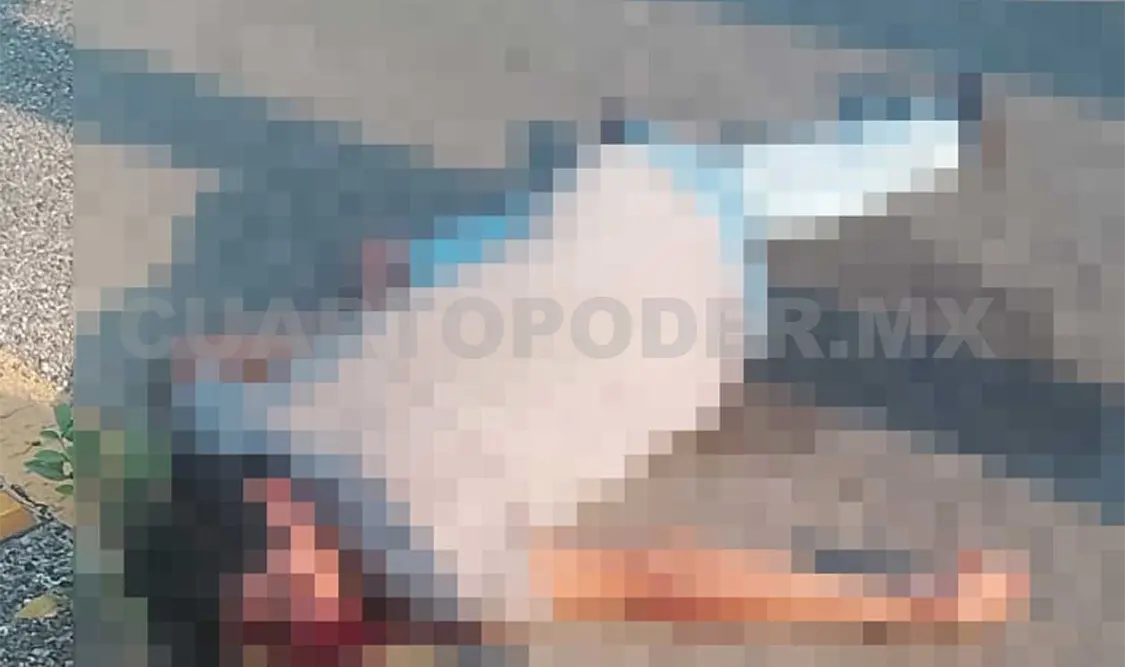 Lo atropellan en carretera y queda grave