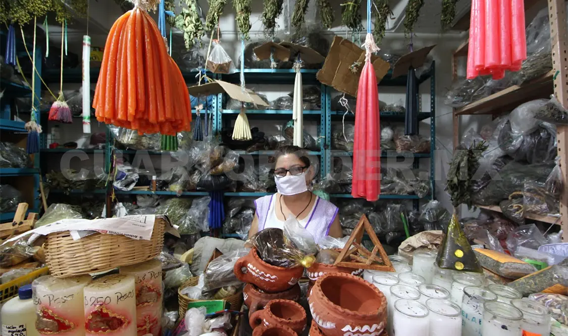 Disminuye uso de plantas nativas medicinales