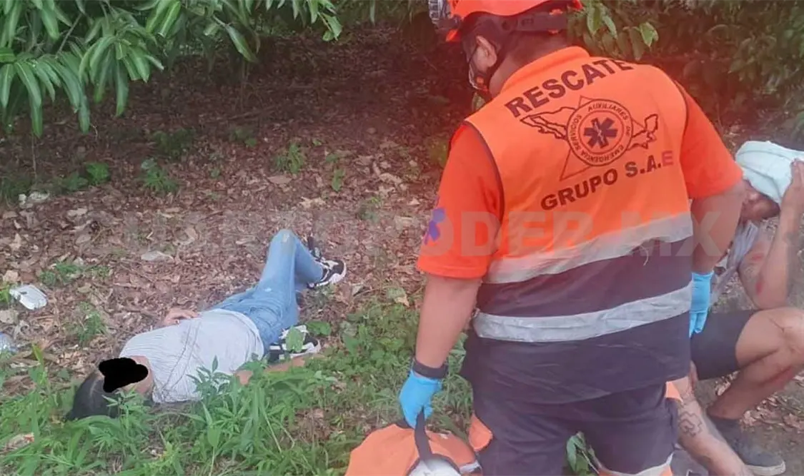 Evitan arrollar a un perro y derrapan