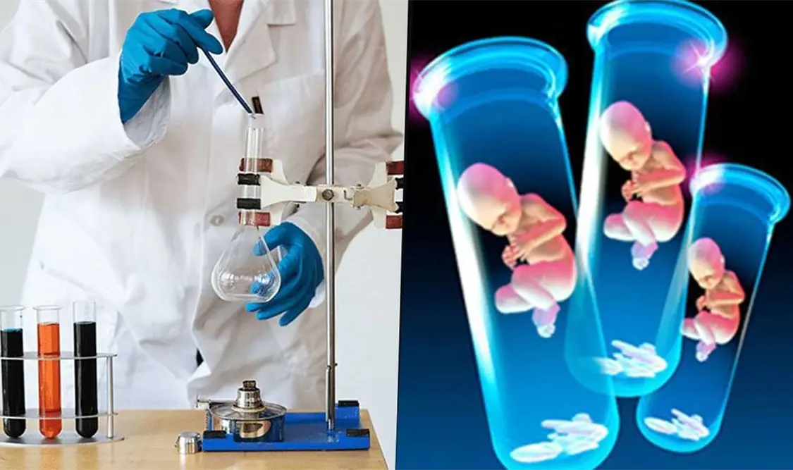 Lejos la clonación de humanos