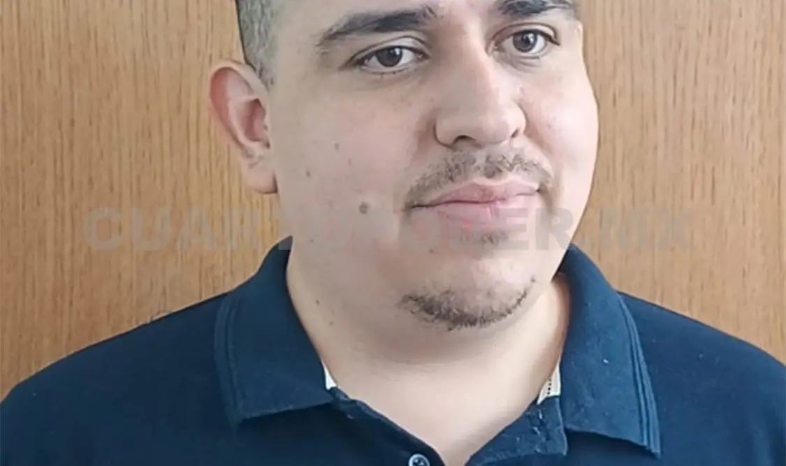 Necesario recobrar la actividad forestal