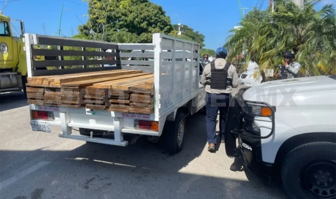 Combaten tráfico de materias primas
