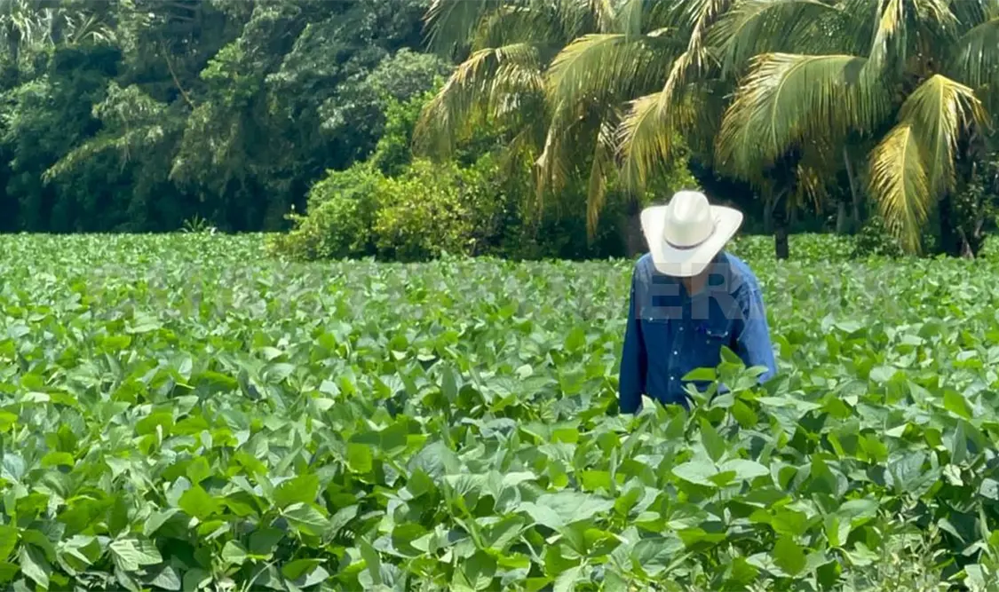 Piden concesiones para pozos profundos