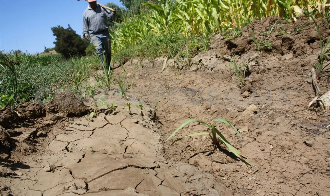 Buscan regresar la productividad del campo