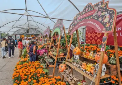 Festival de las Flores de Cempasúchil