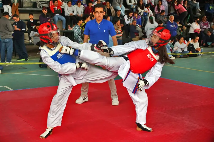 El evento fue avalado por la Federación Mexicana de Tae Kwon Do, con participación de las categorías infantil, juvenil y adultos. Cortesía