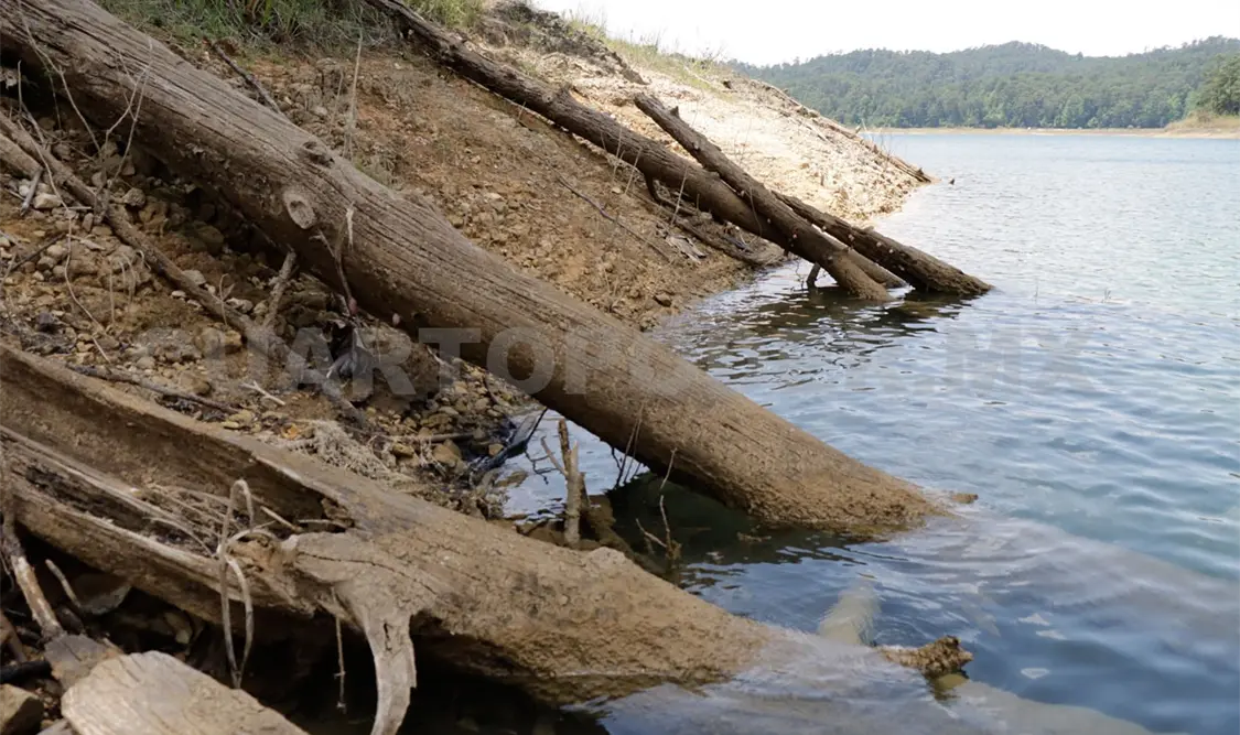 Frontera agrícola y aguas negras afectan a la selva Lacandona