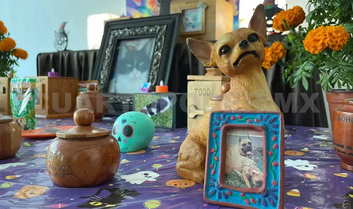 Mascotas, recordadas en el Día de muertos