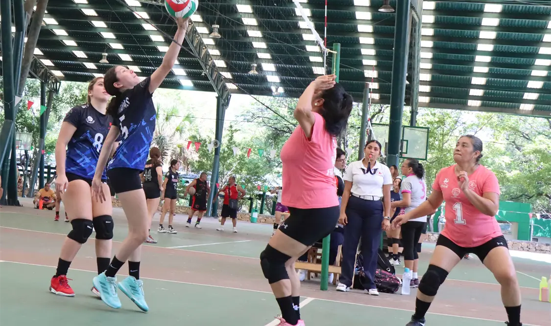 Los planteles se han mantenido en lo más alto gracias al paso perfecto que llevan. Diego Pérez/CP