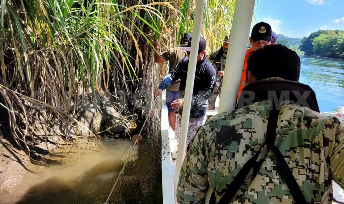 La vigilancia se realizó en coordinación con autoridades federales. Cortesía
