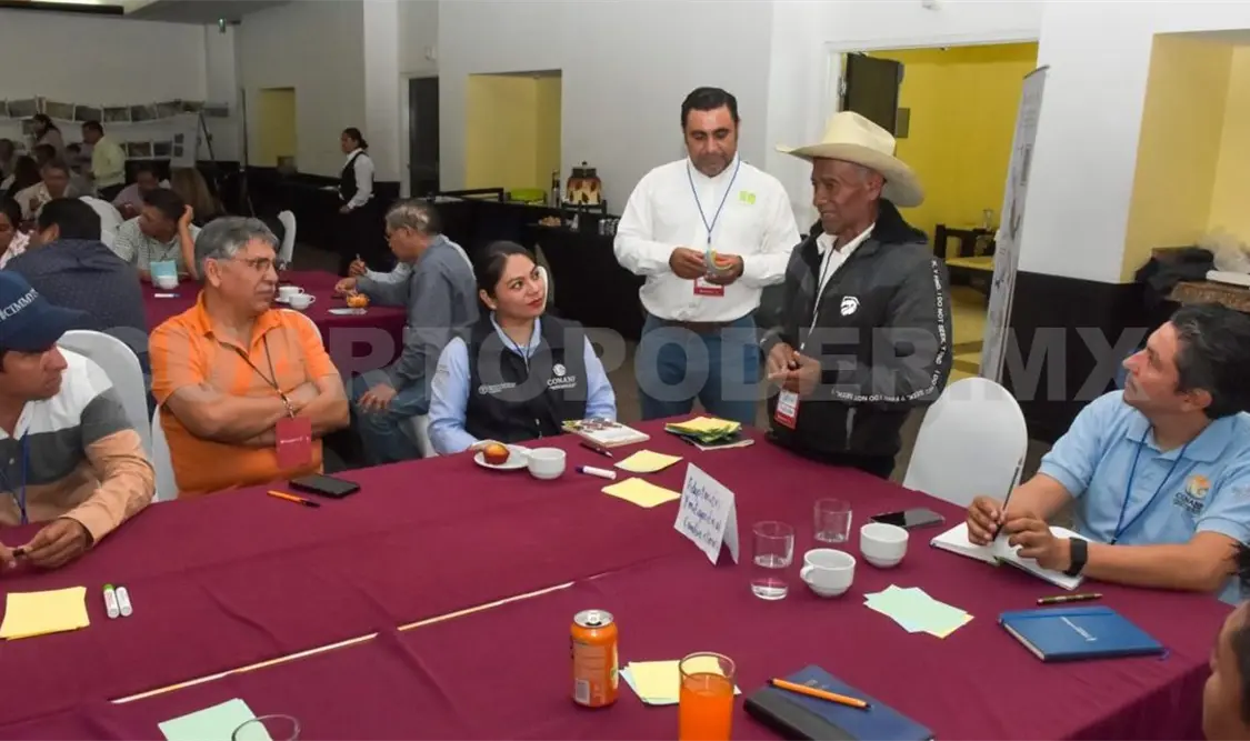 Evalúan aplicar la agricultura sustentable al campo estatal