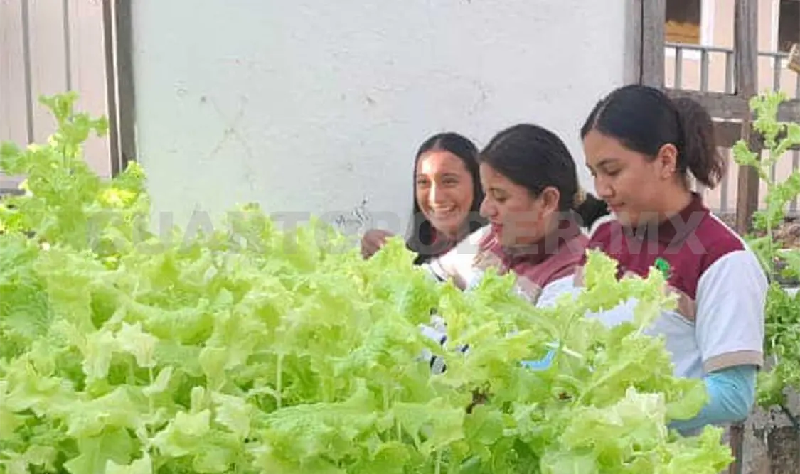 La actividad es parte de las prácticas y servicio social; adquieren habilidades técnicas en agricultura sustentable. CP