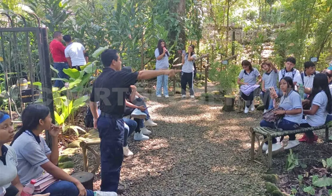 La importancia de las colecciones científicas radica en la generación de conocimiento científico y educativo. Cortesía