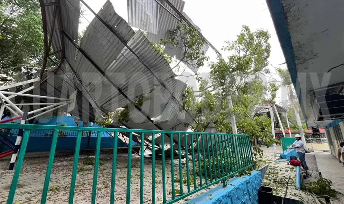 Cae árbol en el domo de una escuela primaria
