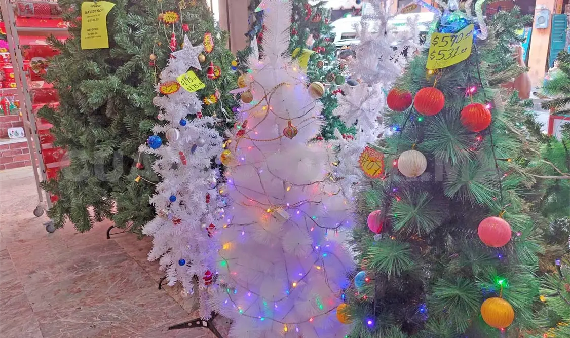 Los precios de los árboles de navidad puede llegar hasta cinco mil pesos. Carlos López / CP