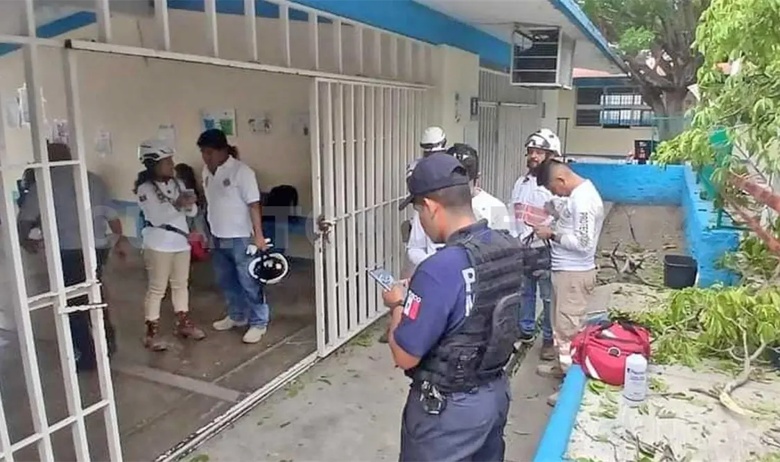 Los árboles en viviendas o edificios particulares deben solicitar el apoyo de las autoridades para hacer su valoración.  Cortesía