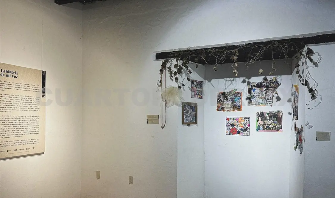 Presentarán la exposición Armonía Disruptiva