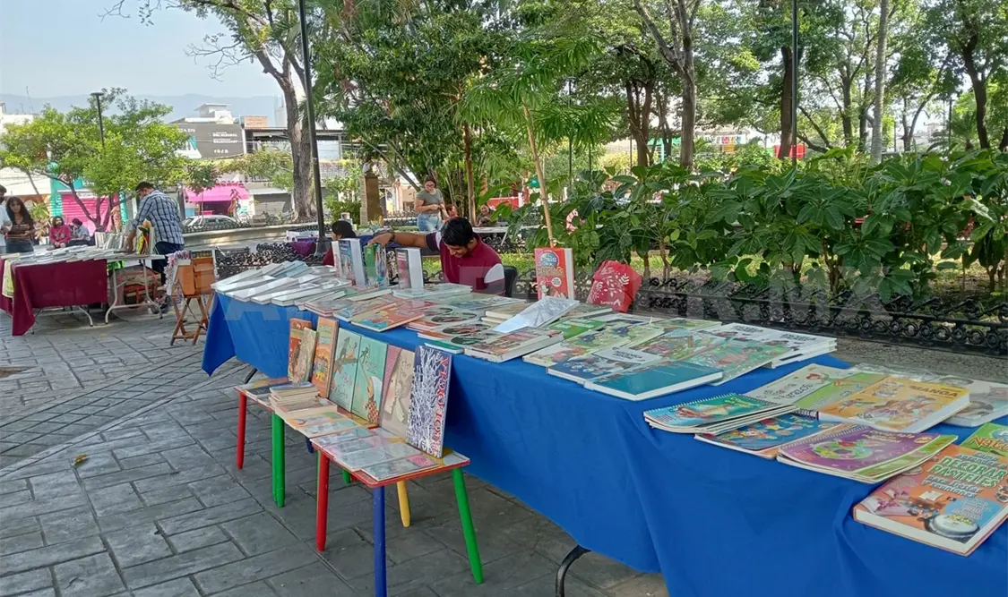 Organizan el festival Vive la lectura