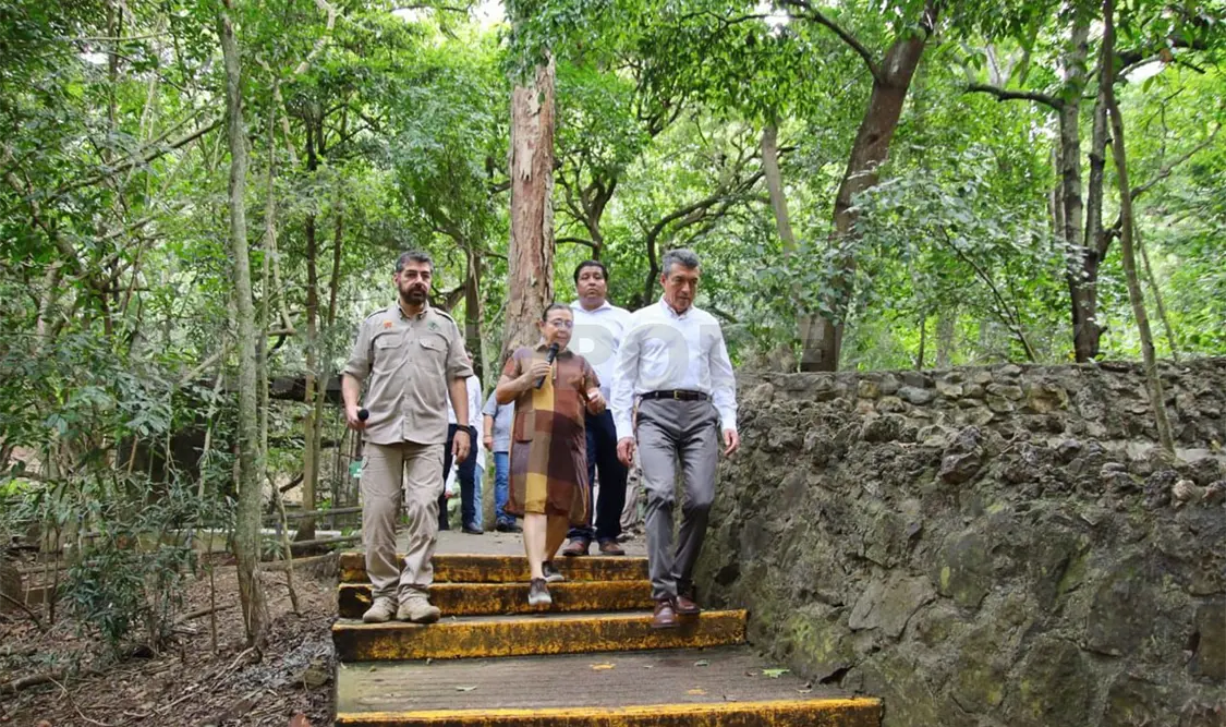 Rehabilita SOP espacios para fauna endémica