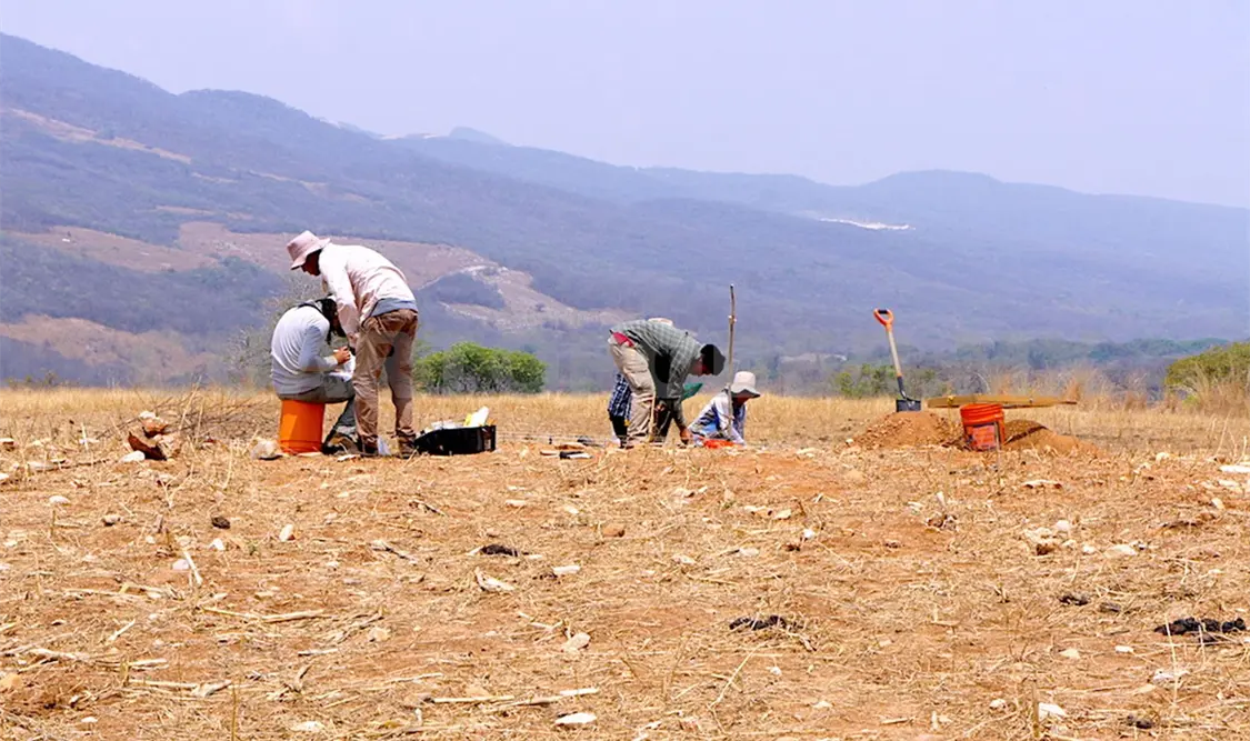 Señorío Chiapa con amplio poder económico