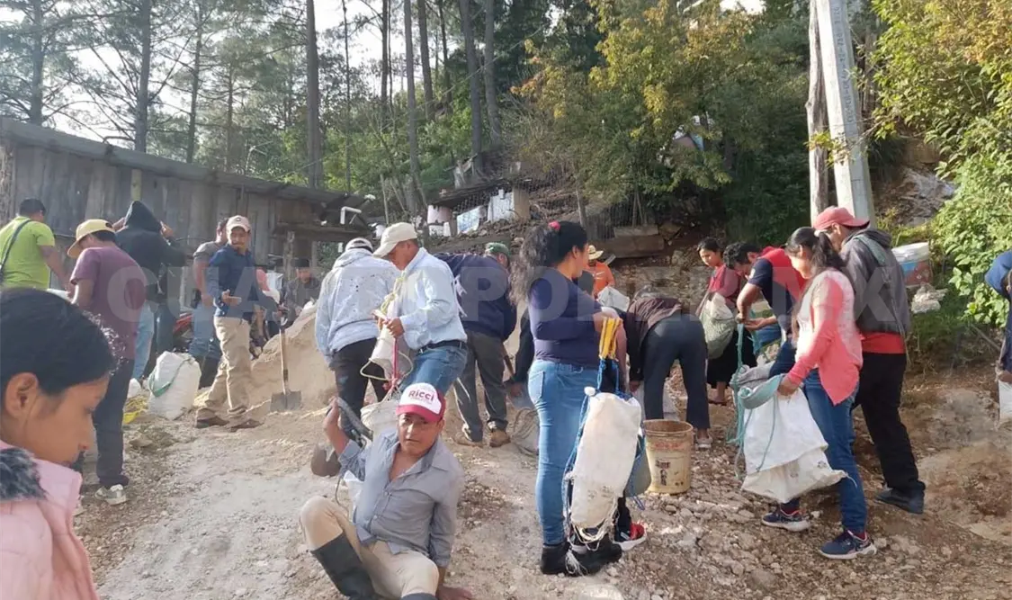 Provida animal recibe charolas de alimento