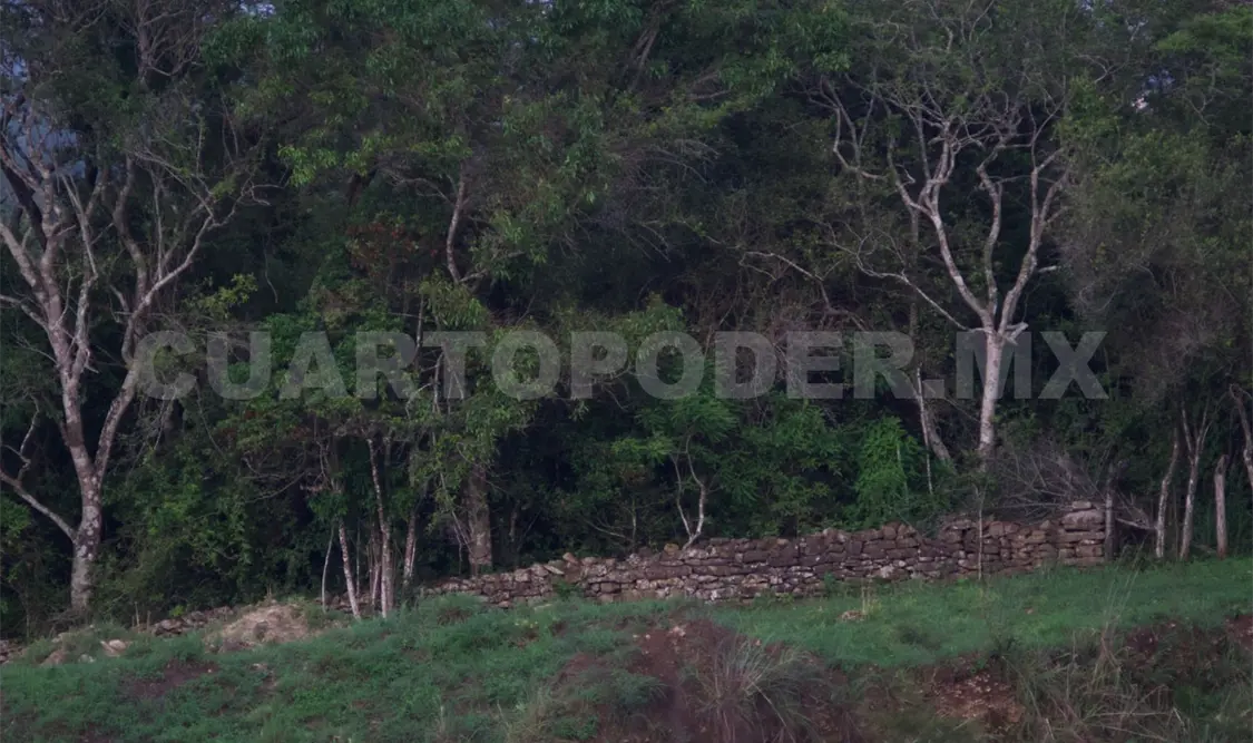 Importante analizar estructuras de edificios