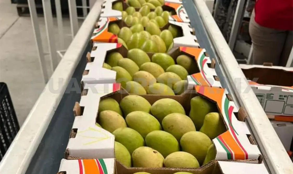 Preocupa a agricultores amague de Trump
