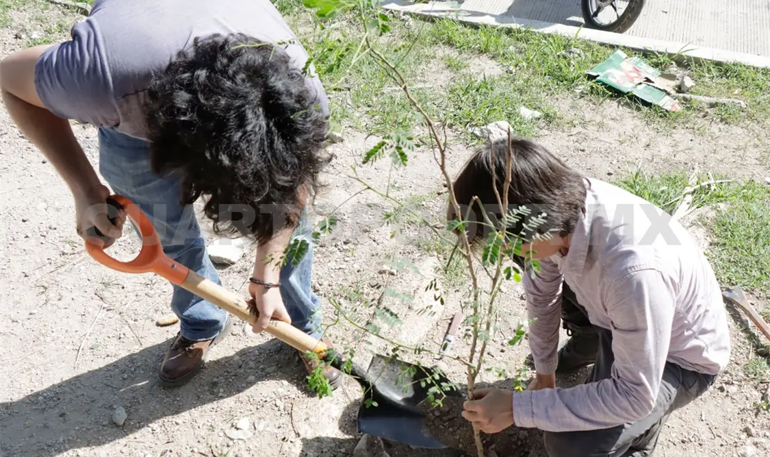 Vital garantizar derecho a un medio ambiente sano