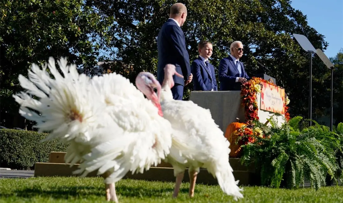 Biden festeja Día de Acción de Gracias