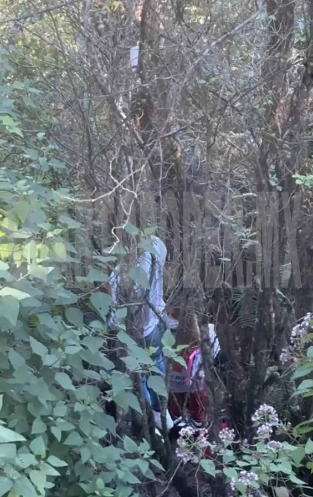 Encuentran ahorcado de un árbol a hombre