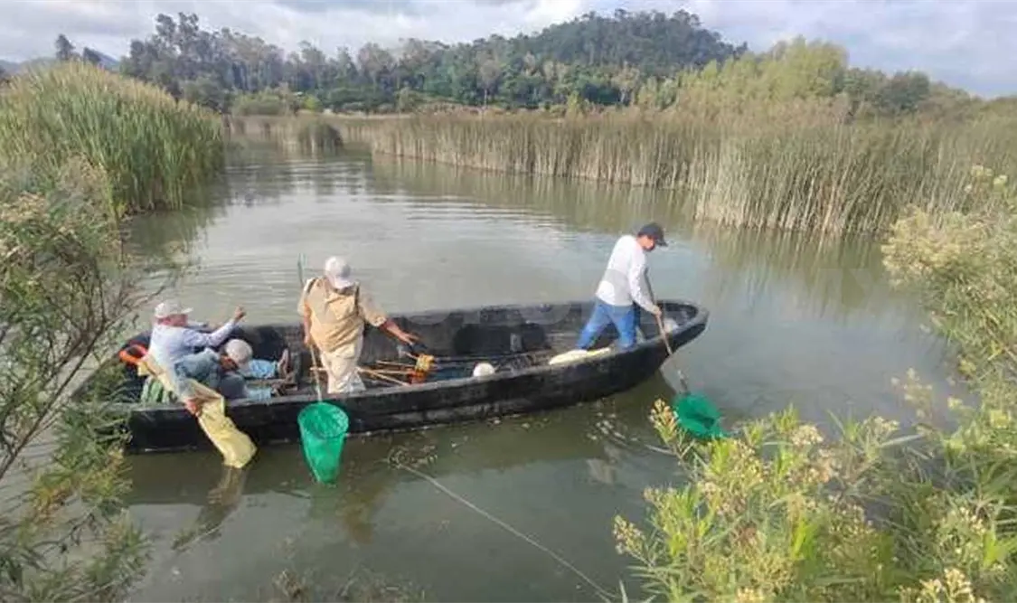 Recolectan toneladas de basura en humedales