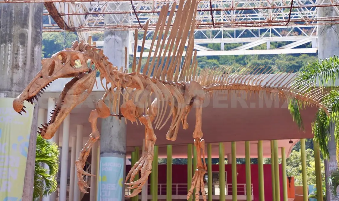 Presenta espectacular réplica de Spinosaurus