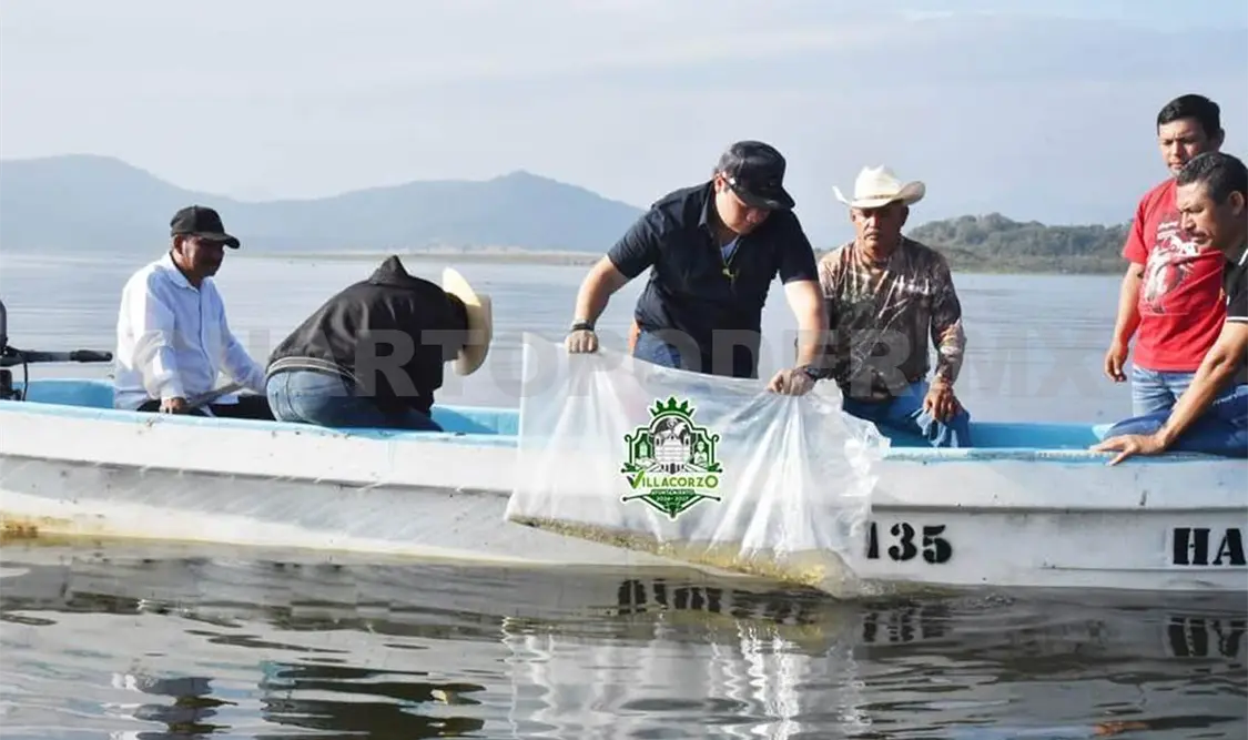 Entregan alevines de mojarras tilapia