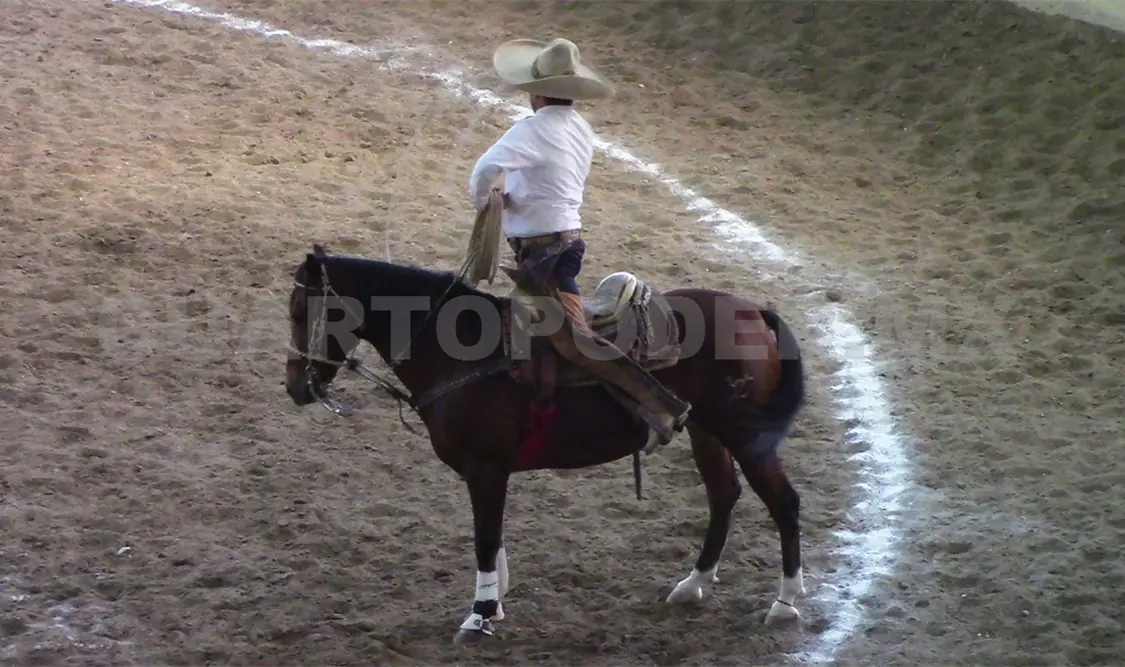 Equipos clasifican a la gran final del Torneo