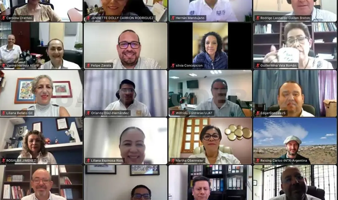 Participarán en Programa Conecta Chiapas
