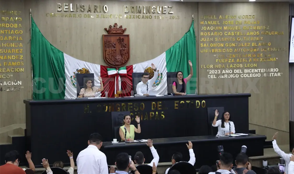 Rechazan licencia “urgente” de Brito