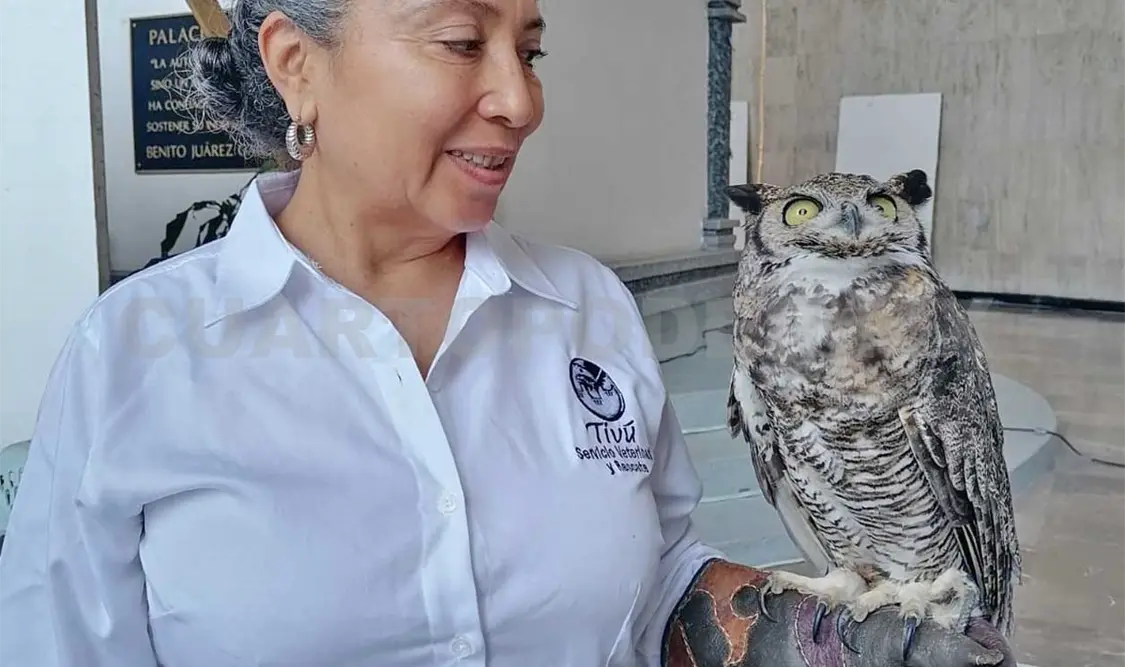 Buscan crear centro de rehabilitación de especies