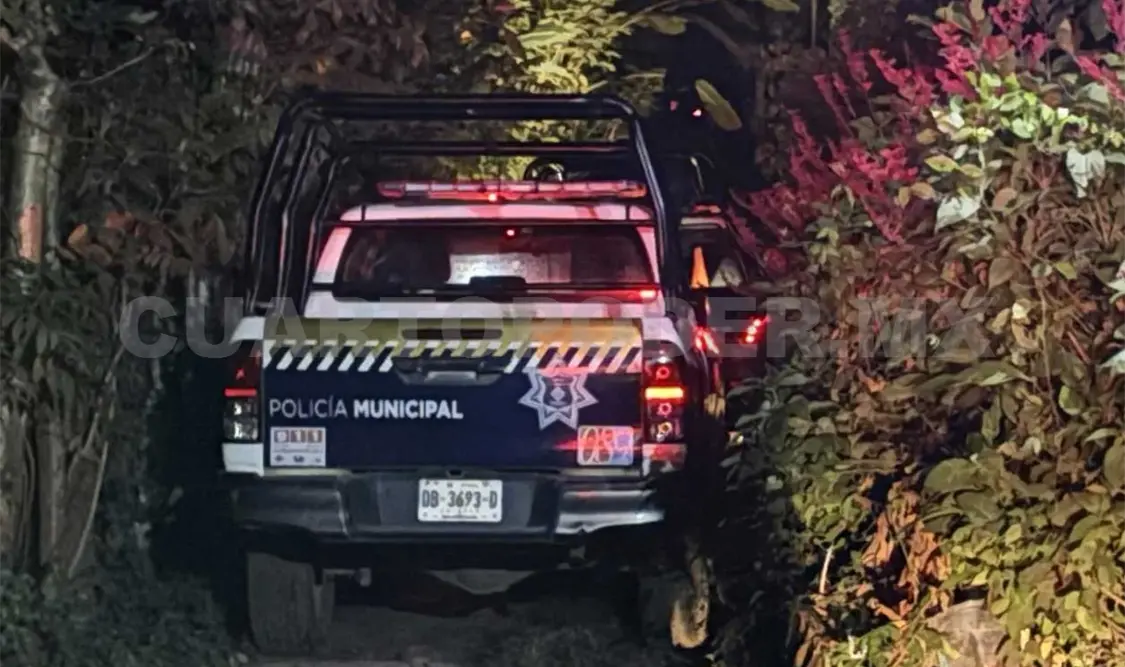 Muere tras caer desde lo alto de un árbol