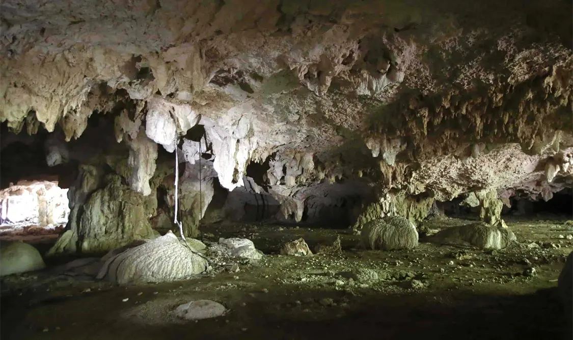 Los cuerpos de agua están contaminados, señala experto. El Universal