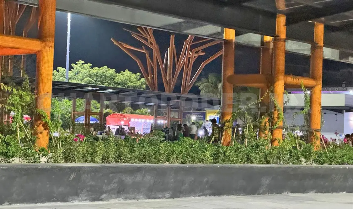 ¿Ya crecieron las enredaderas en el Bicentenario?