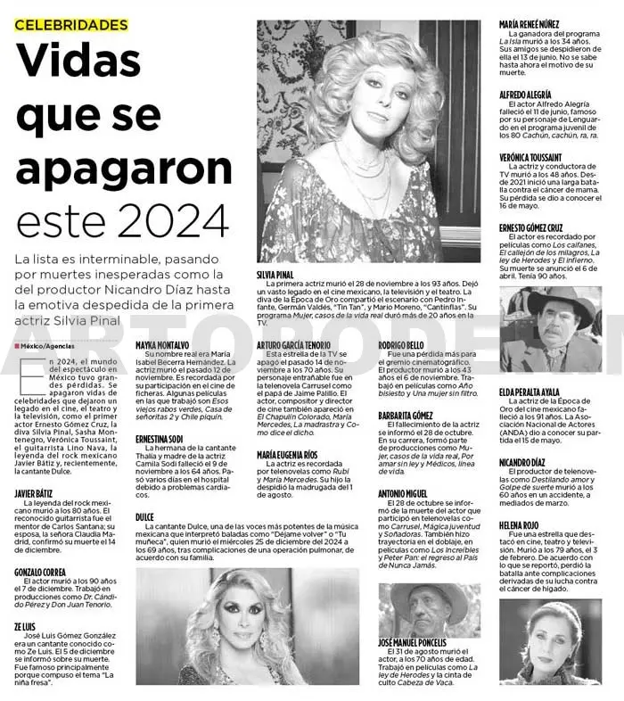 Vidas que se apagaron este 2024