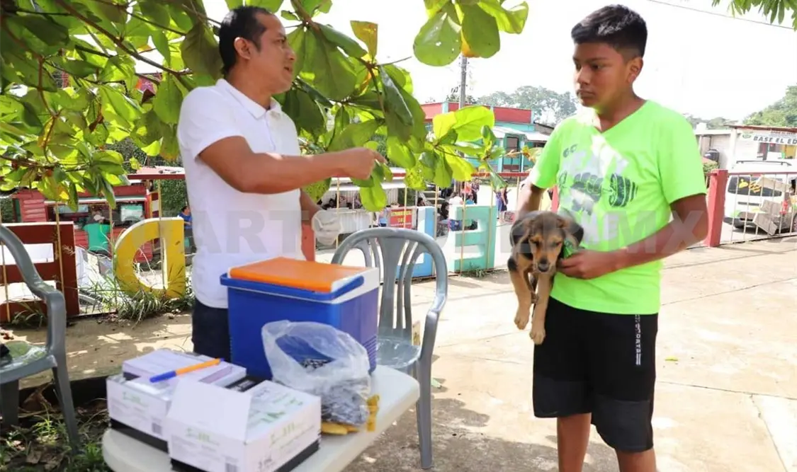 Ayuntamiento realiza campaña de esterilización