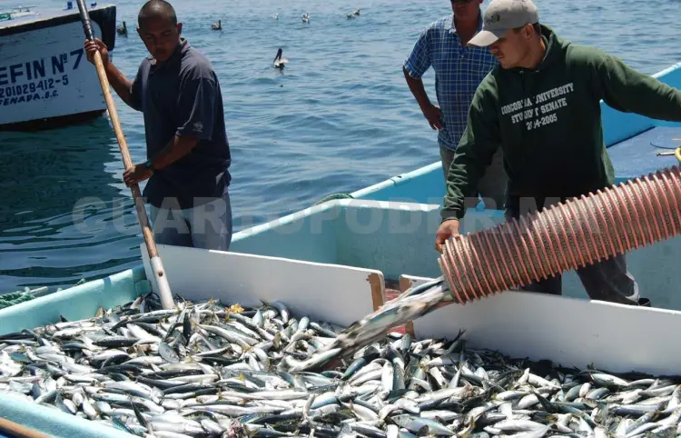 Chiapas, con alta producción pesquera