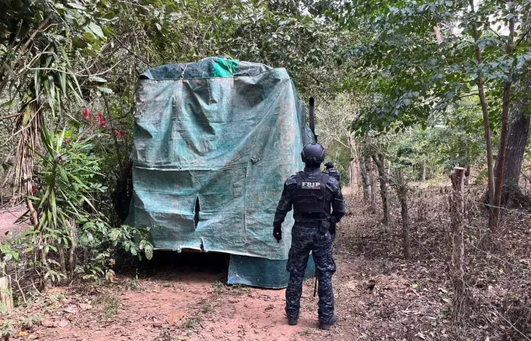 En operativo sorpresa, detienen a tres personas y hallan bodega de "vehículos monstruos" en Frontera Comalapa