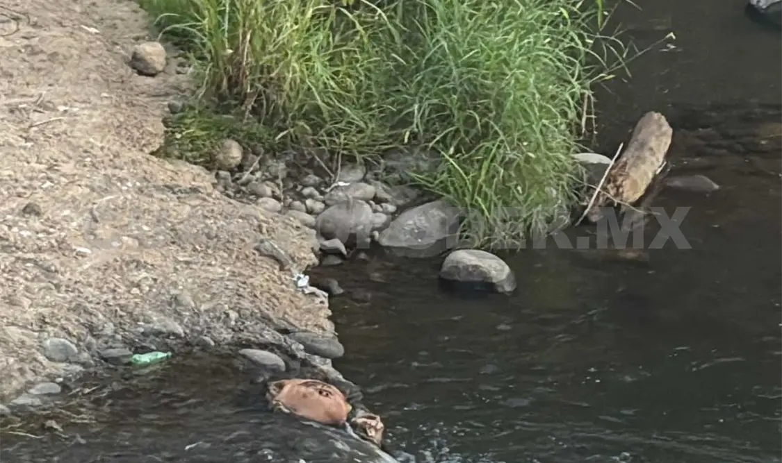 El torso humano flotaba en el agua. Víctor Sánchez / CP