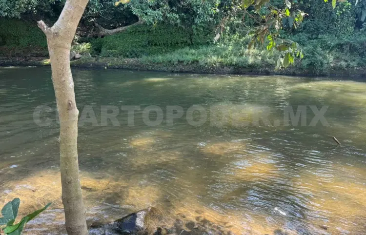 Localizan cabeza humana en margen de río Cahoacán